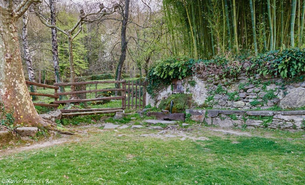 Apartamentos Fonda Finet Sant Felíu de Pallarols 외부 사진