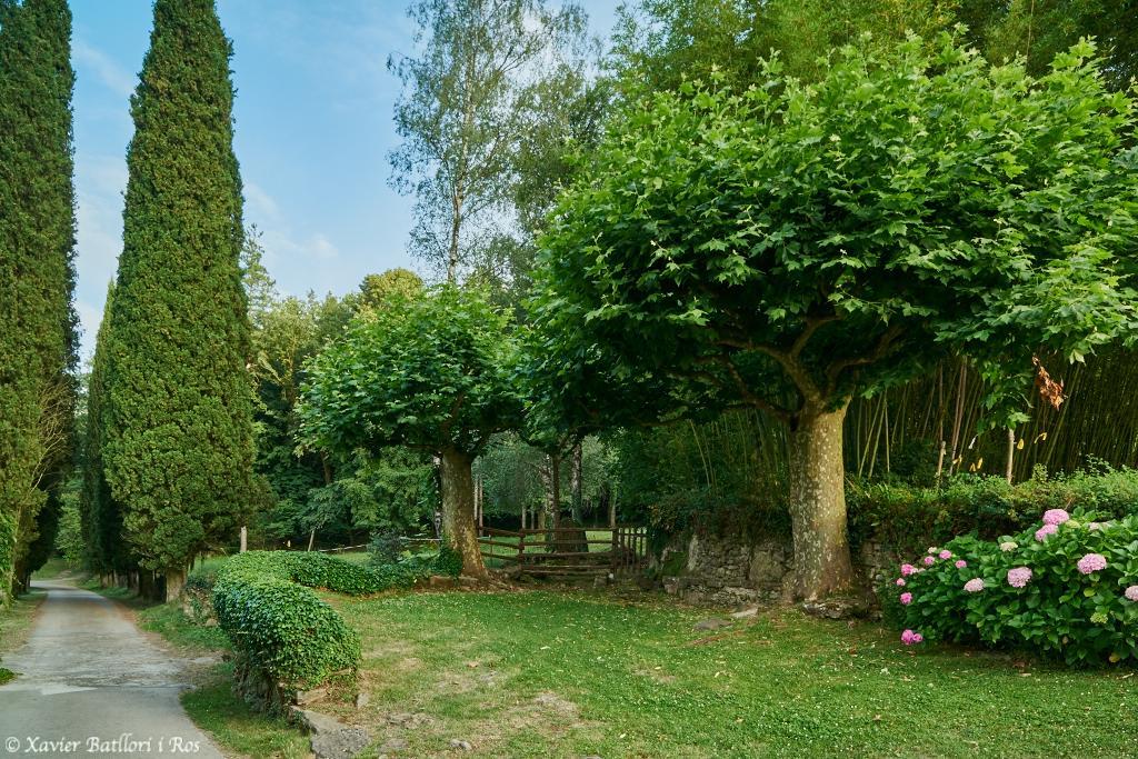 Apartamentos Fonda Finet Sant Felíu de Pallarols 외부 사진